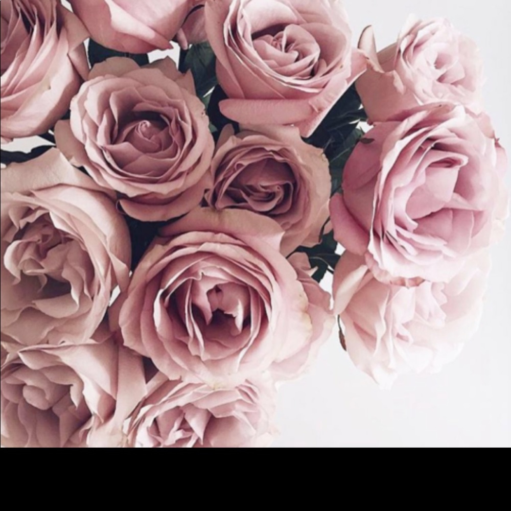 Meet your Posher, Brandy